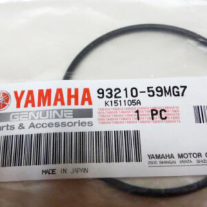 Y600002