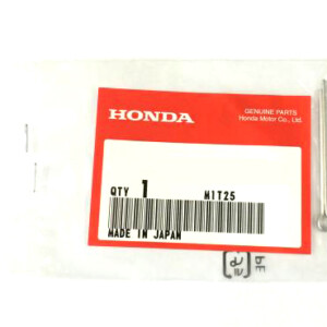 H100010